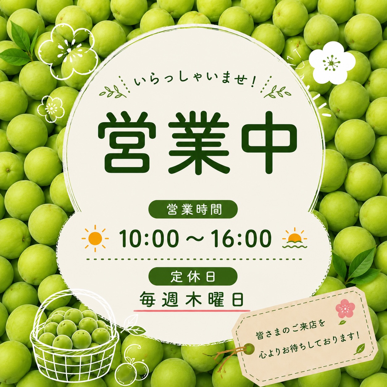 [営業のお知らせ]

🍃 梅の季節になりました 🍃

本日も元気に営業中です！
伊香保散策の合間に、ぜひお立ち寄りください ☺️

🕙 10:00〜16:00
🗓 毎週木曜日 定休日

📍群馬県渋川市伊香保町伊香保45

皆さまのご来店を心よりお待ちしております 🌿

#大利根漬 #伊香保梅の手仕事屋 #手仕事体験 #梅ドリンク #伊香保温泉石段街